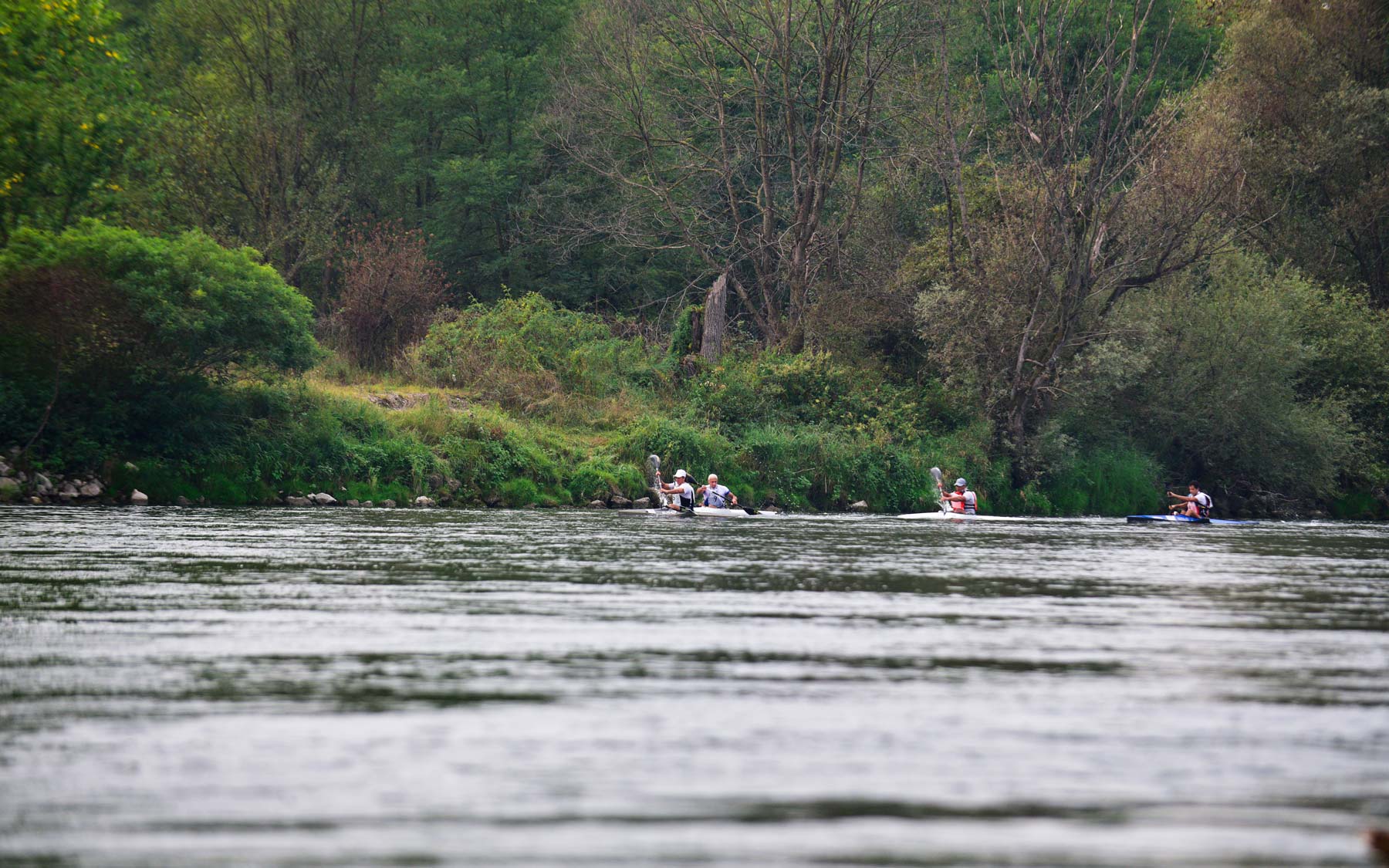 Canoa – Canottieri Ticino Pavia